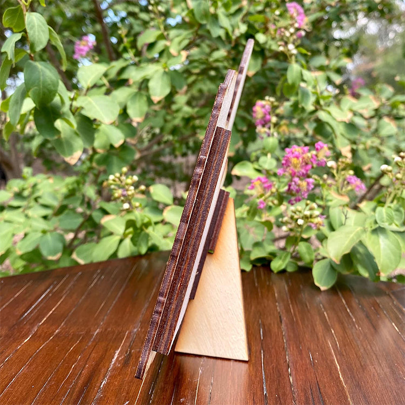 BowLift | Check out this photo frame