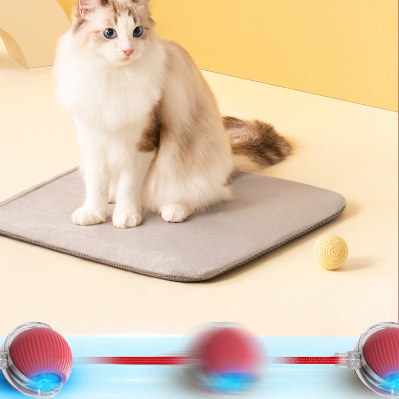 BowLift | Interactive Cat Toy Ball for Indoor Use