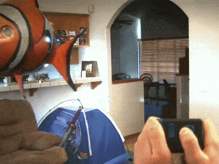 BowLift | Inflatable Remote Control Shark Fish Toy