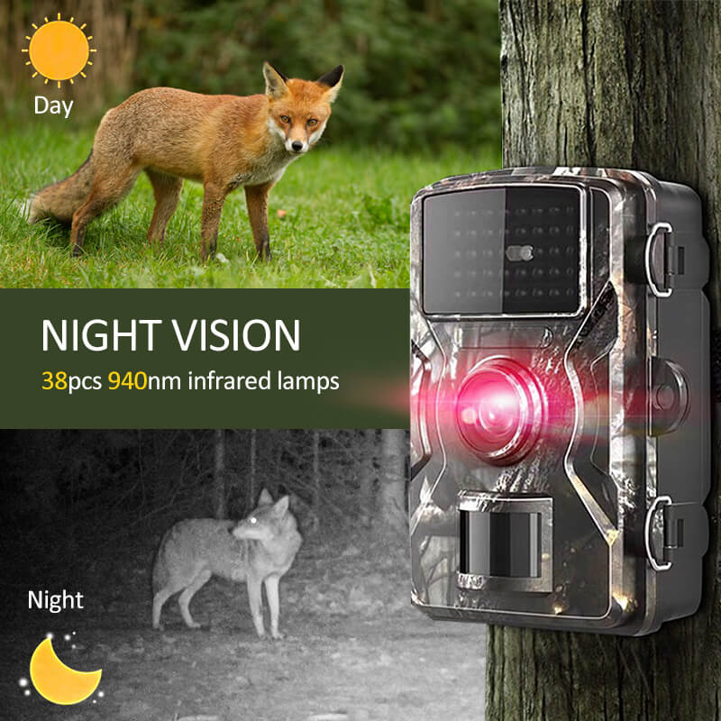BowLift | 2x Night Vision Outdoor Wildlife Animal Cam Camera