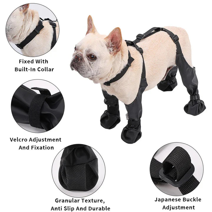 BowLift | Adjustable Dog Boots