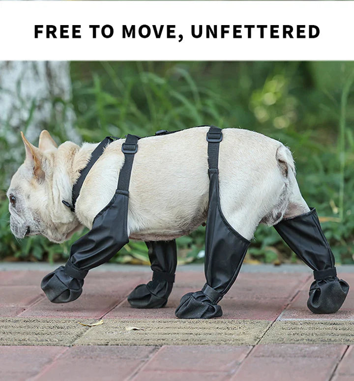 BowLift | Adjustable Dog Boots