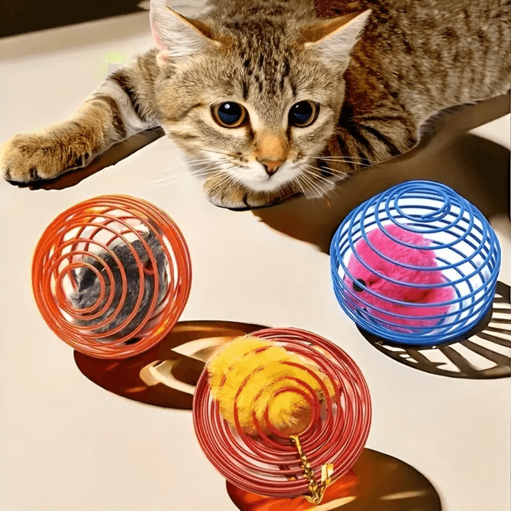 Interactive Cat Spring Toy Set