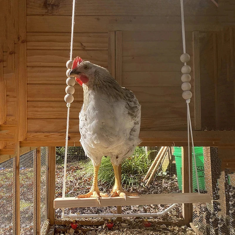 BowLift | Chicken Swing Toy