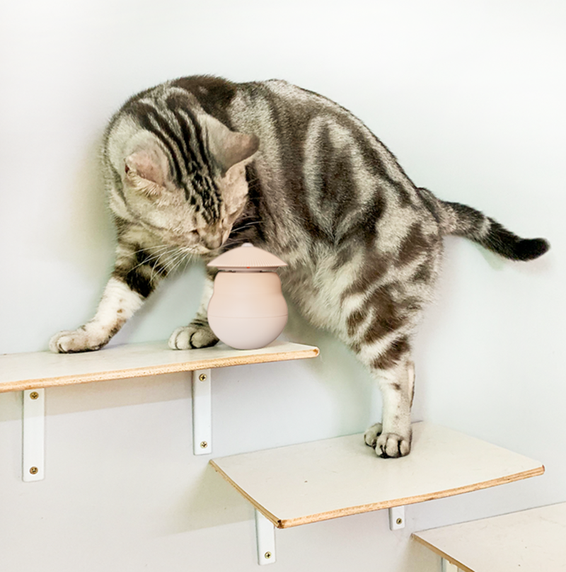 BowLift | Automatic Laser Infrared Cat Teaser Toy