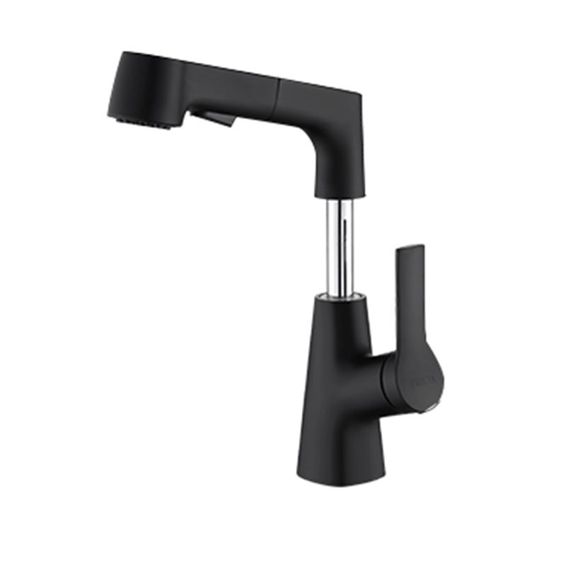 BowLift | Swivel Spout Sink Faucet Brass Bathroom Low Arc Mixer