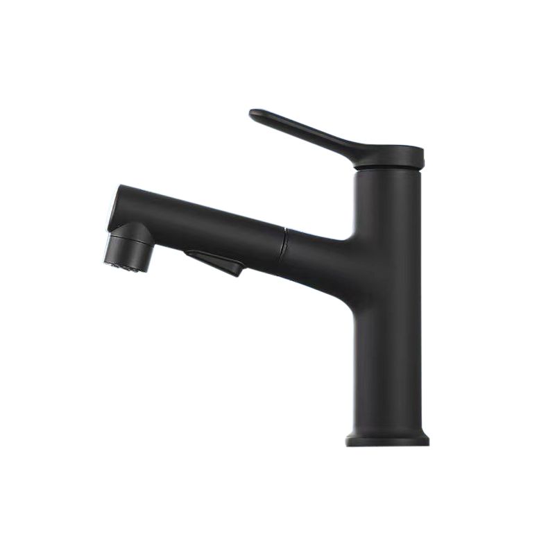 BowLift | Vessel Sink Faucet Contemporary Pull-out Tap with Swivel Spout