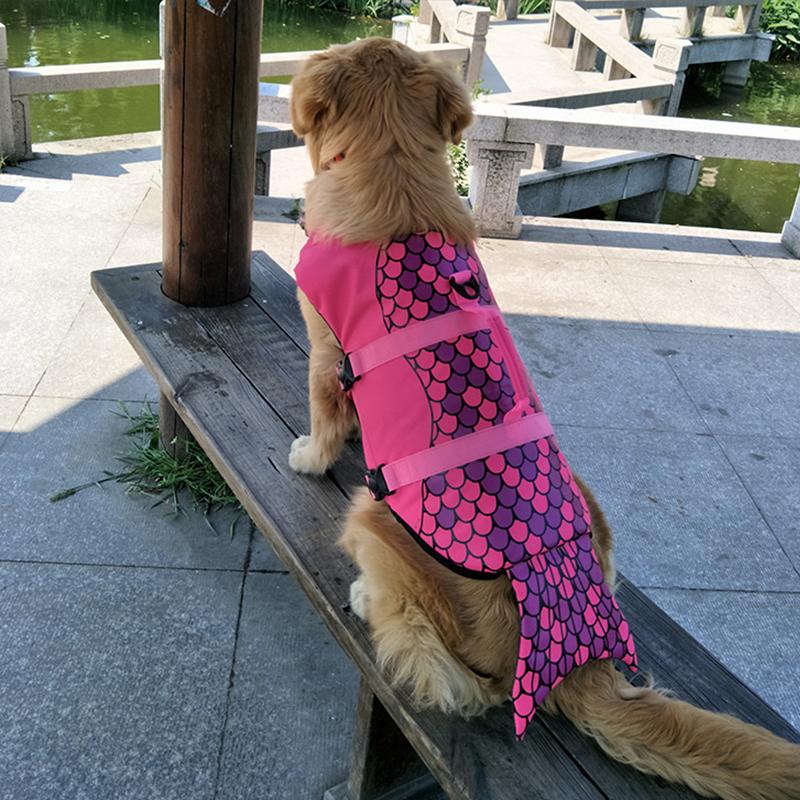 BowLift | Dog Swim Safety Jacket