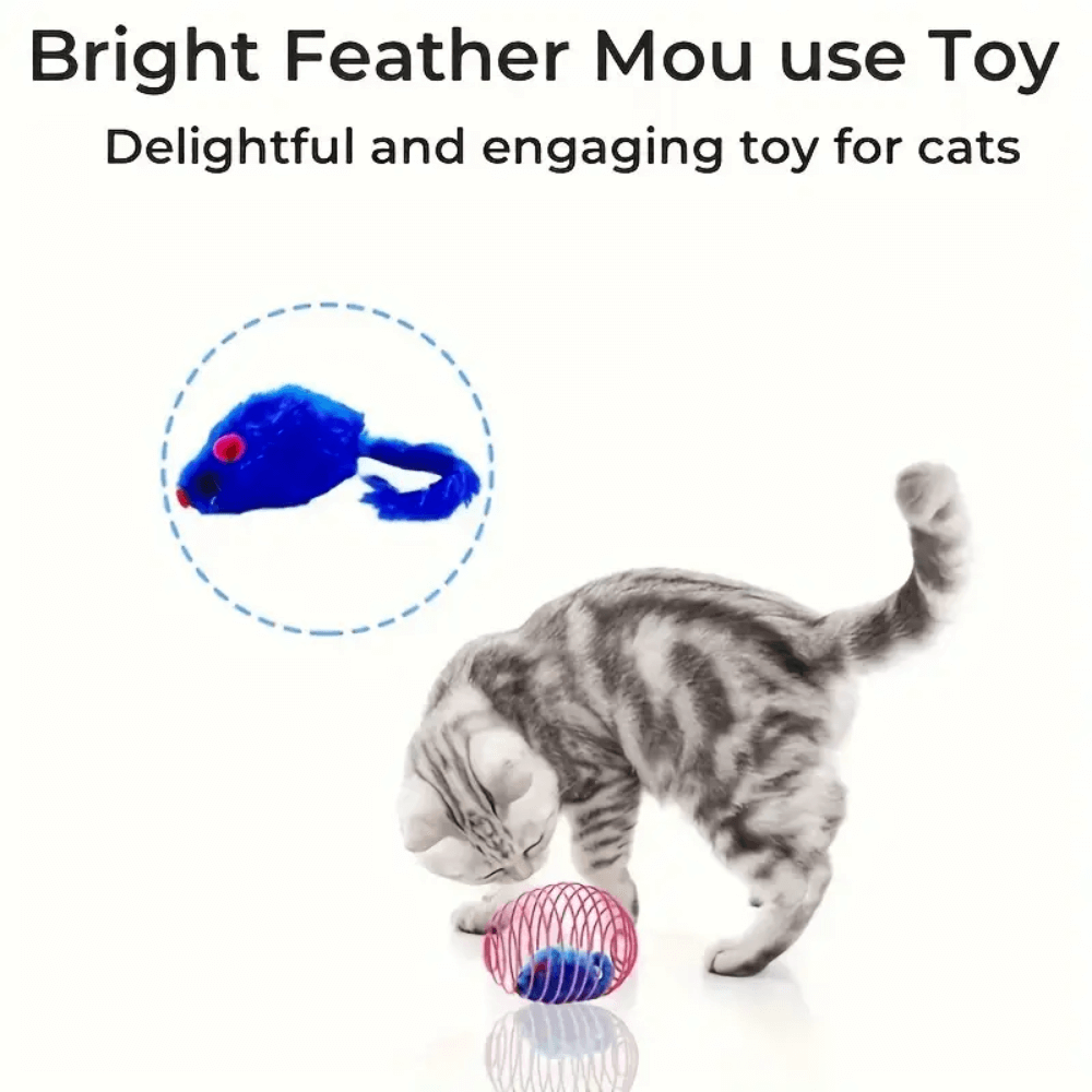 Interactive Cat Spring Toy Set