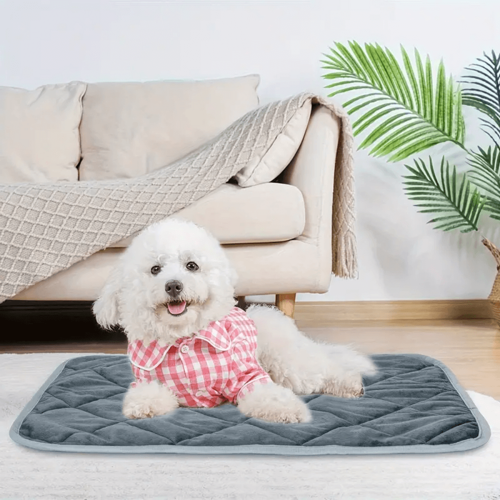ToastyPaws Dog Self-Heating Pad