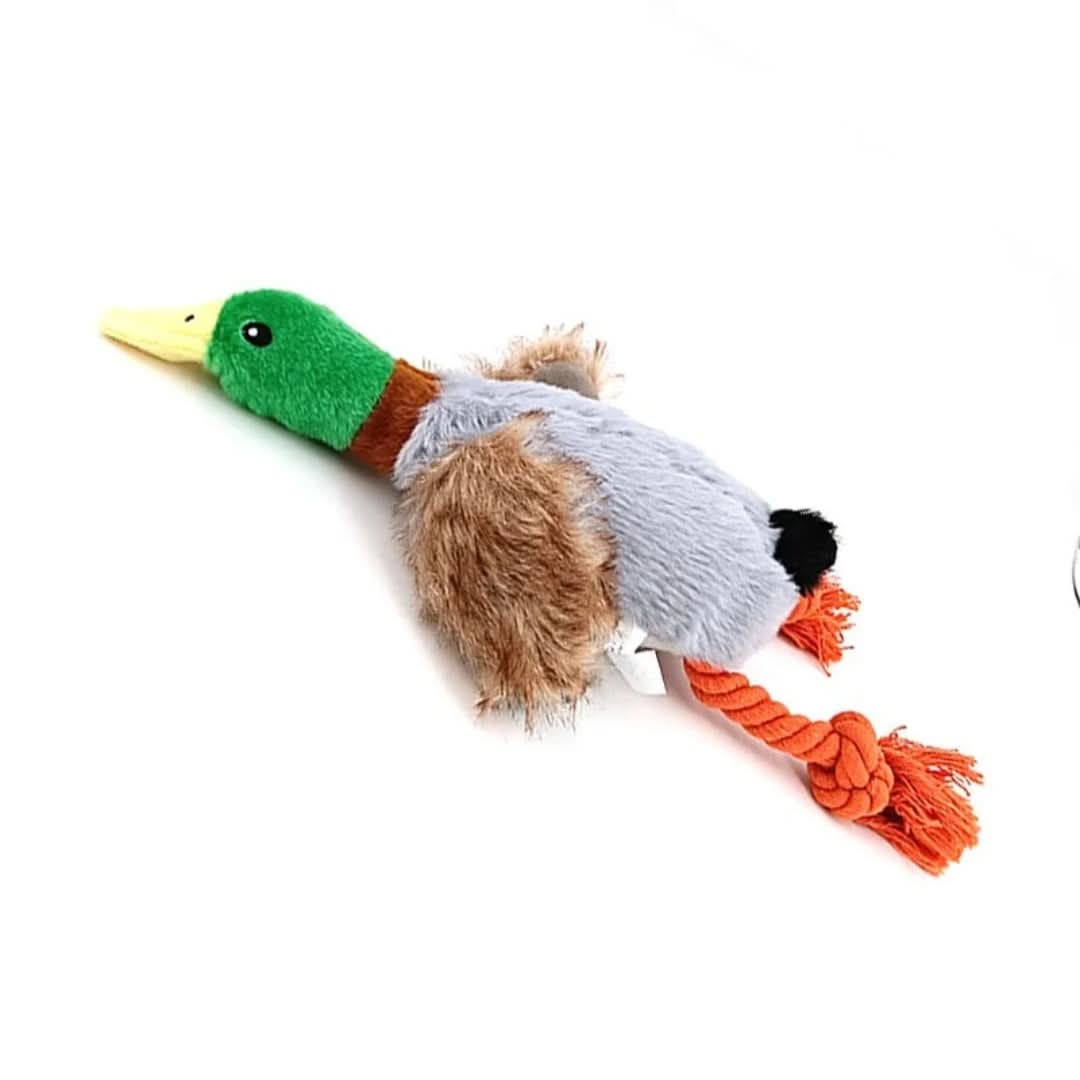 BowLift | CHEWDLE - Plush chew toy