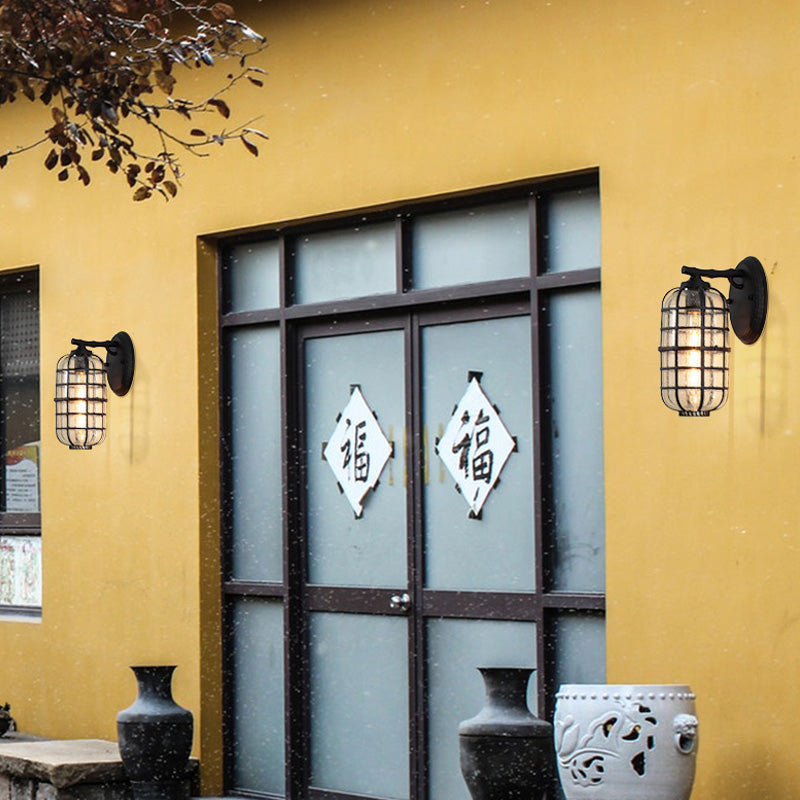 BowLift | Caged Seeds Glass Wall Mounted Lamp Industrial Single Bulb Outdoor Sculpture Light in Black/Bronze, 5.5"/6"/8" Wide