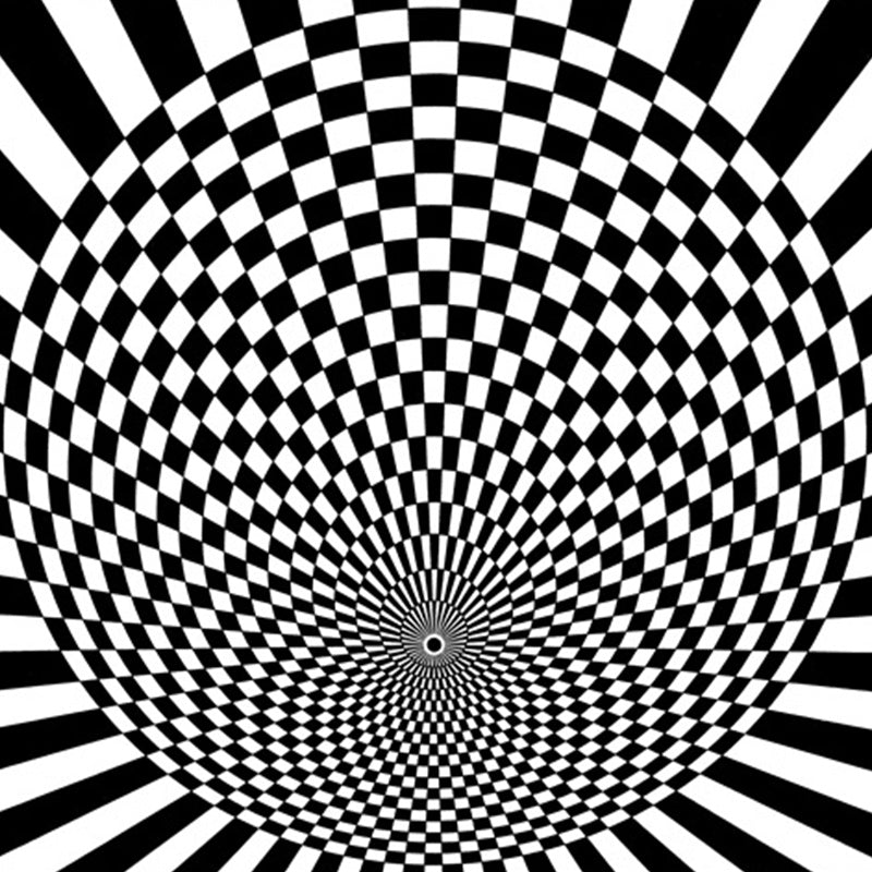 BowLift | Black-and-white bedroom rug novelty 3D small check pattern carpet polyester non-slip pet-friendly rug