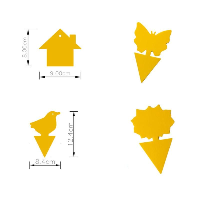 BowLift | Fruit Fly Fungus Gnat Sticky Trap