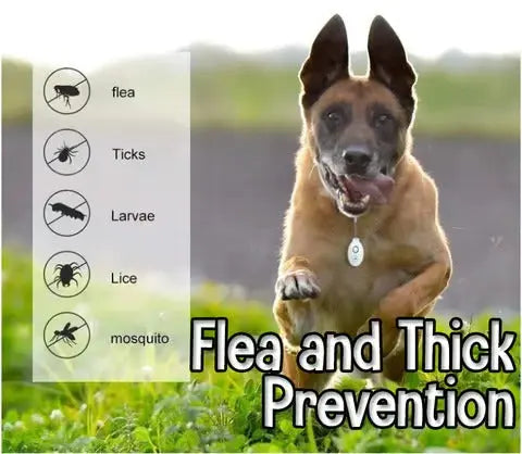 BowLift | Ultrasound Tick PRedection – Chemical-Free Defense