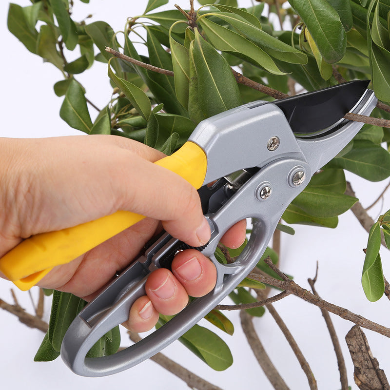 BowLift | Professional Scissors Garden Hedge Trimmer