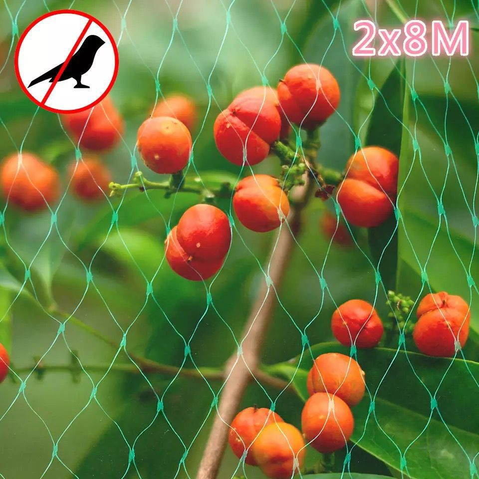 BowLift | Protective net for garden plants – Green net against pests and animals
