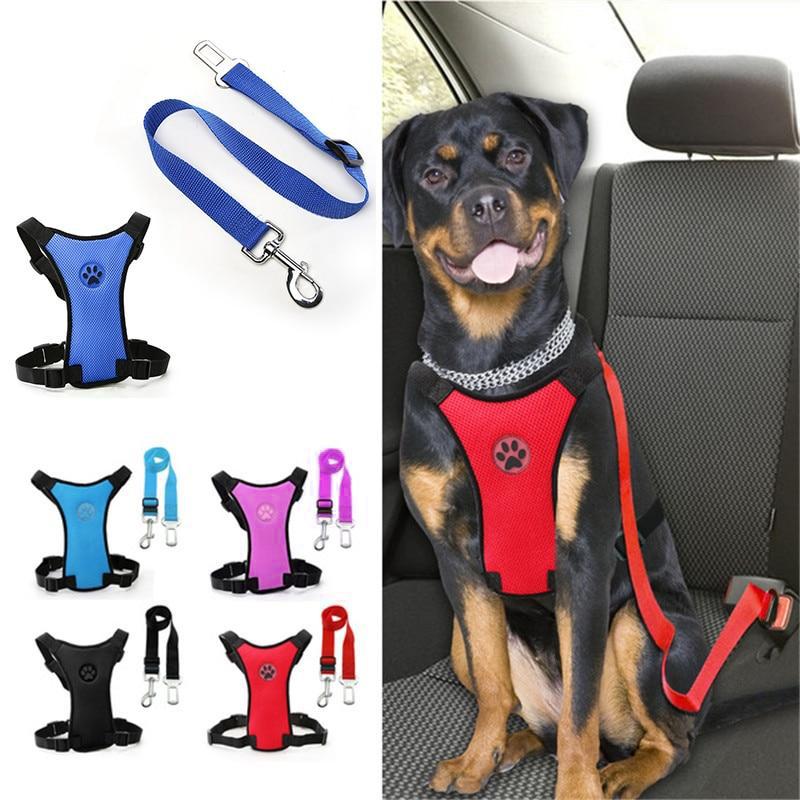 BowLift | Dog Safety Harness Set