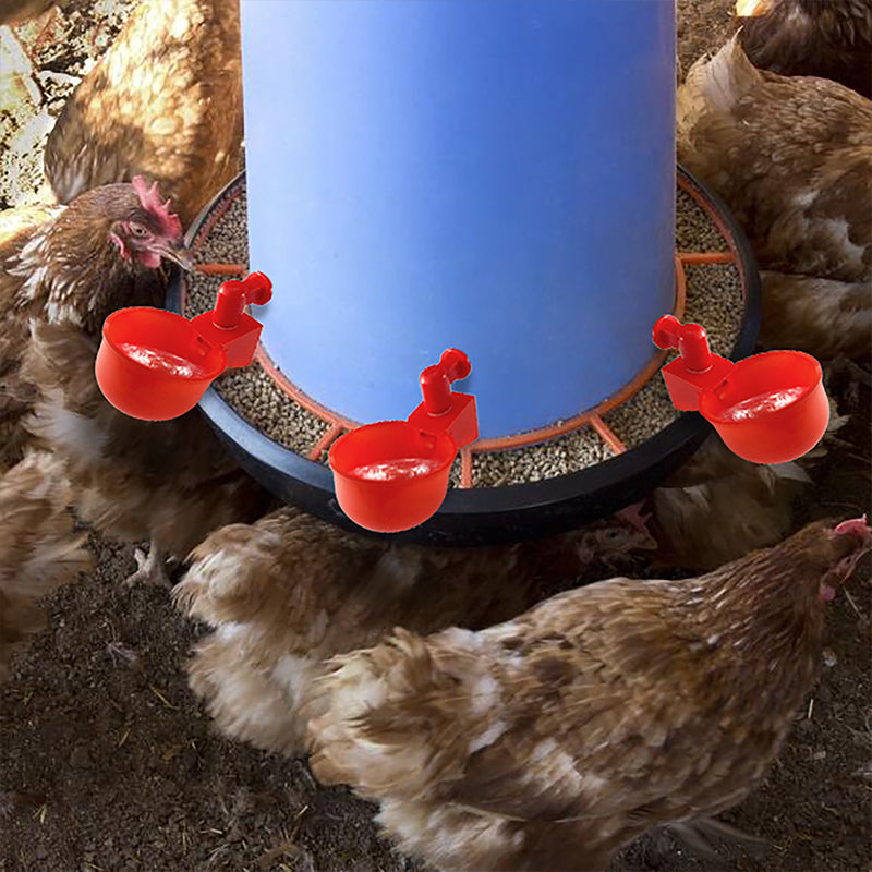 BowLift | Automatic Poultry Drinker