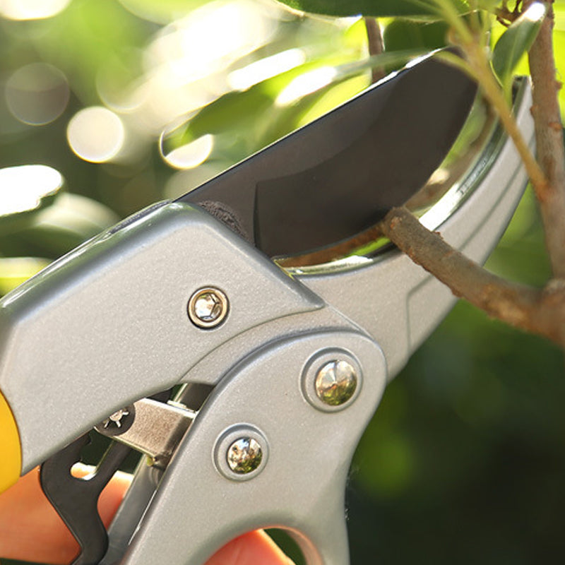 BowLift | Professional Scissors Garden Hedge Trimmer