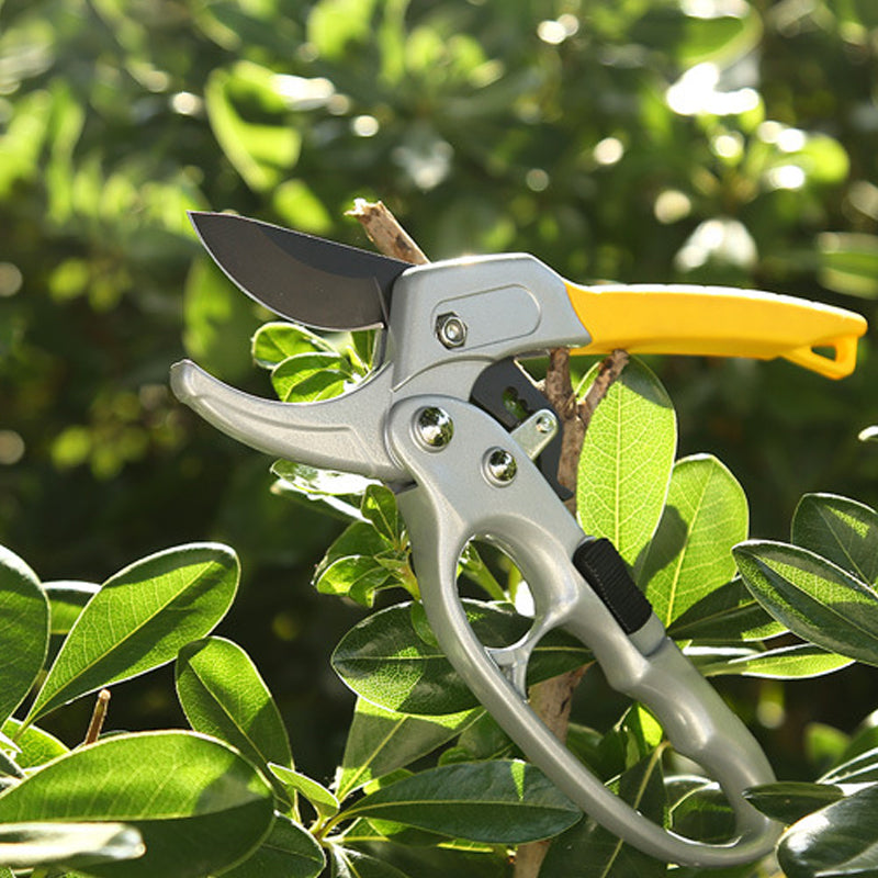 BowLift | Professional Scissors Garden Hedge Trimmer