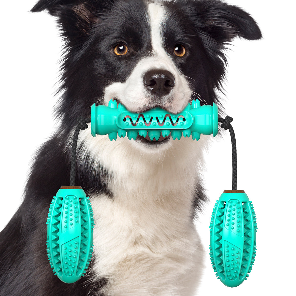 Dog Serrated Chew Toy / Dumbbell Style B / For Dogs