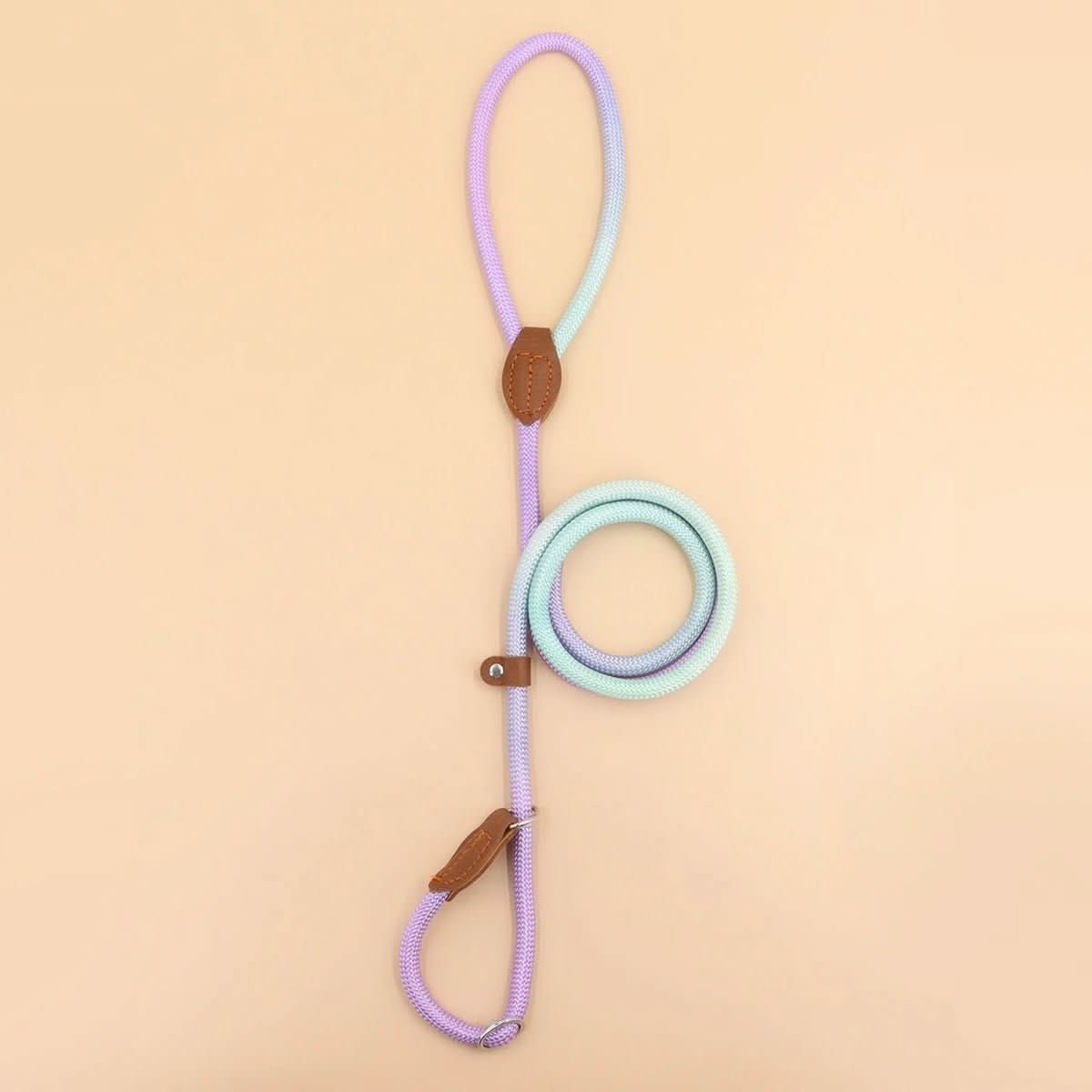 BowLift | CLÉMENTINE LEASH – Colored dog leash for stylish walks with comfort