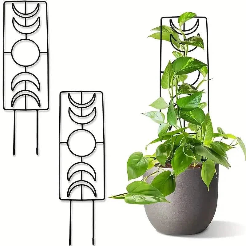 BowLift | 2-Pack: Metal Plant Frame for Climbing Plants Indoor