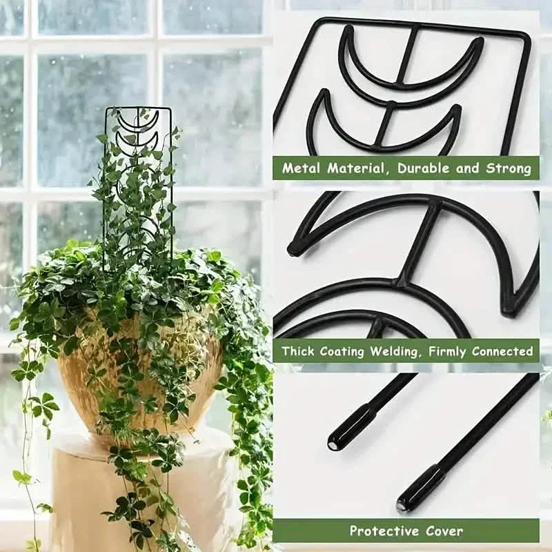 BowLift | 2-Pack: Metal Plant Frame for Climbing Plants Indoor
