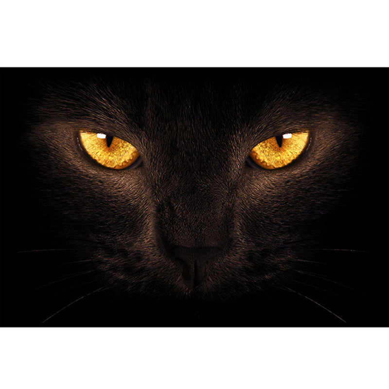 BowLift | Colorful Relaxation Area Rug Cotton Blend Cartoon Pattern Indoor Rug Machine Washable Non-Slip Rug for Décor