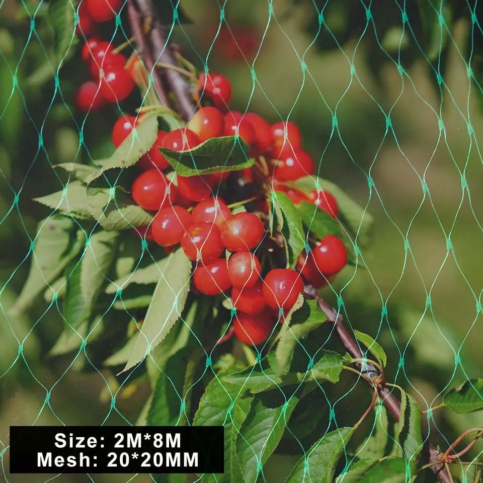 BowLift | Protective net for garden plants – Green net against pests and animals