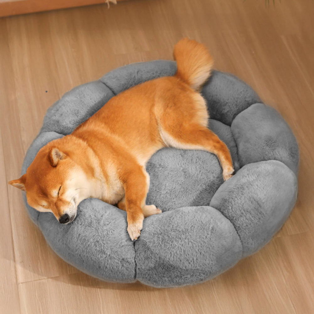 BowLift | Flower Heat Full Support Washable Decoration Dog & Cat Bed