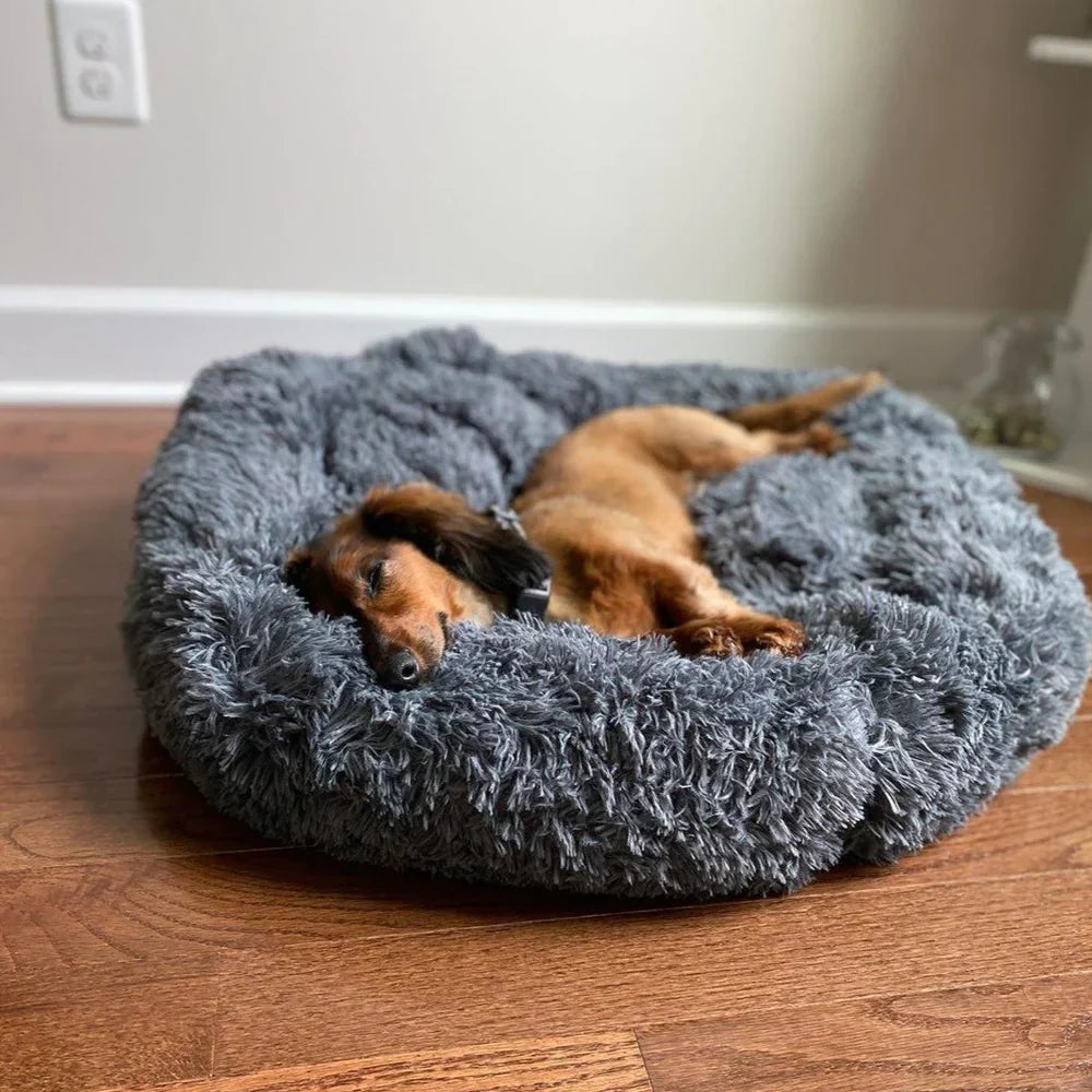BowLift | Calming Dog Bed