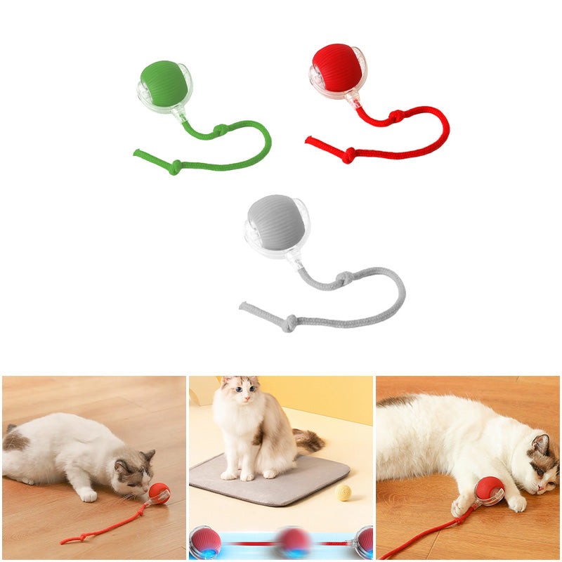 BowLift | Indoor Cat interactive ball