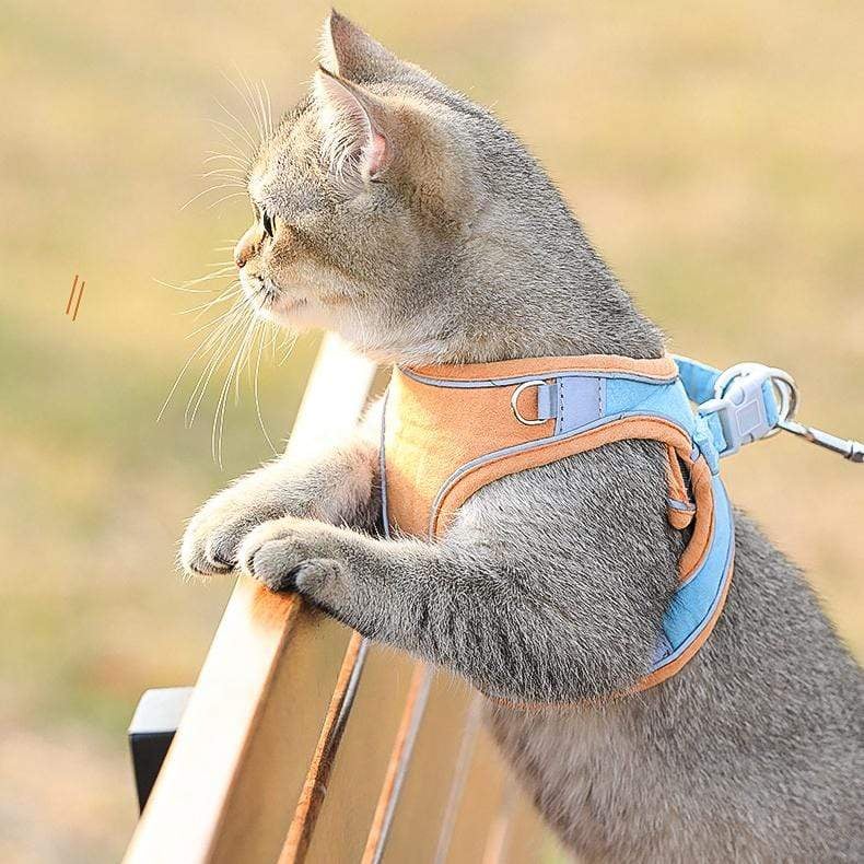 BowLift | Cat Vest And Belt Kit Pet Traction Rope