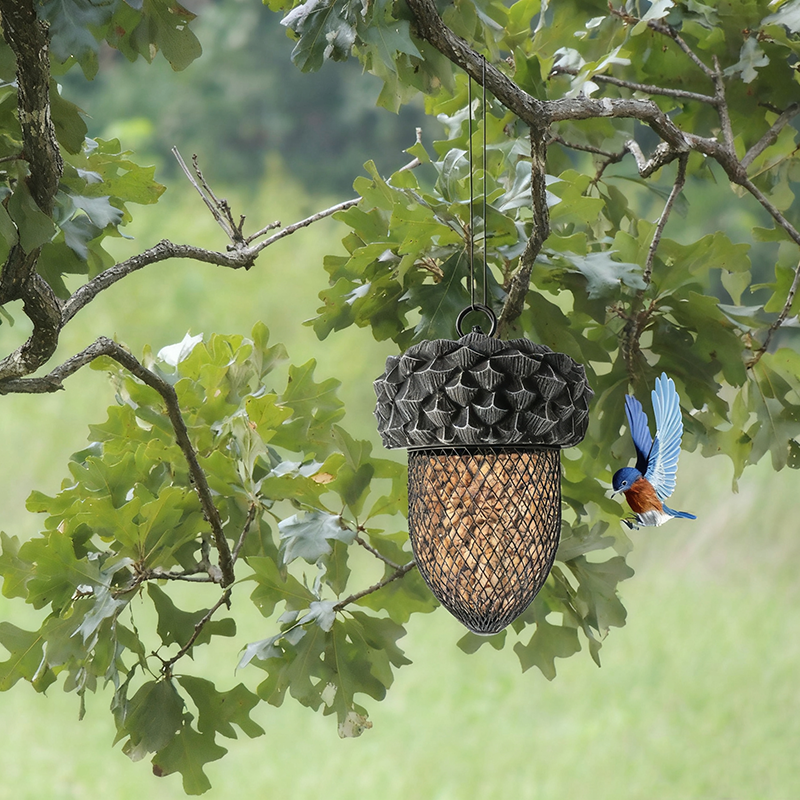 BowLift | Hummingbird Acorn Wrought Iron Bird Feeder