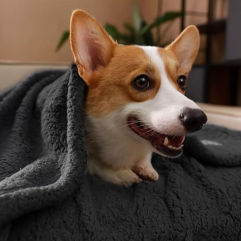 BowLift | FLOOPIE - Premium Pet Fleece Blanket