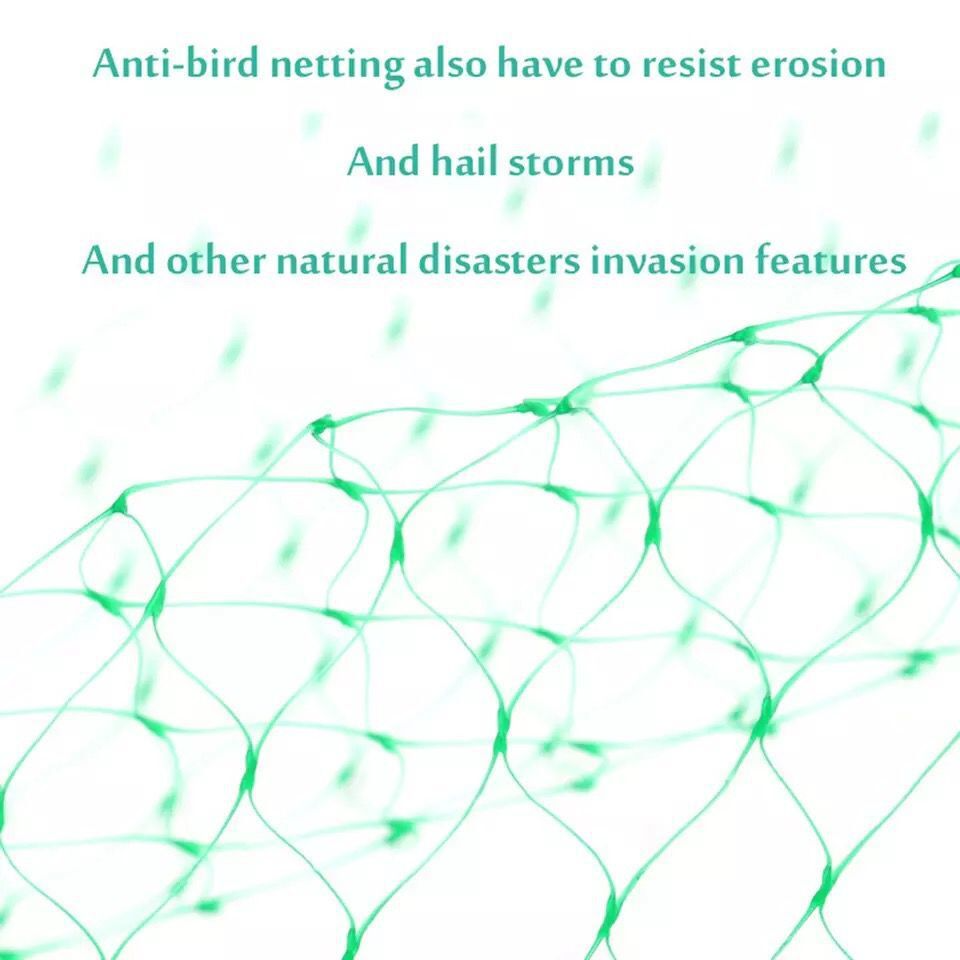 BowLift | Protective net for garden plants – Green net against pests and animals