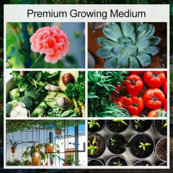 BowLift | 5 Pieces Coconut Fiber Plant Pads – Eco-Friendly Blocks for Garden