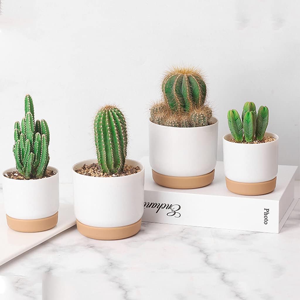 BowLift | Self-watering flower pot for orchids and plants – Plastic plant container