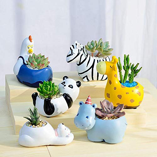 BowLift | Animal Plant Pots – Funny Animal Designs for Succulents and Cacti