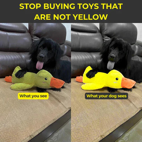 BowLift | Calming Duck Dog Toy