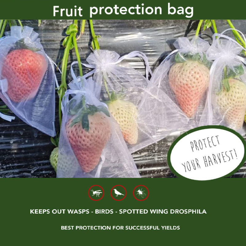BowLift | Fruit Protection Bag (100 PCS)