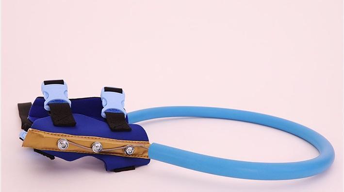 BowLift | Bumper Collar Guide For Blind Dogs Harness