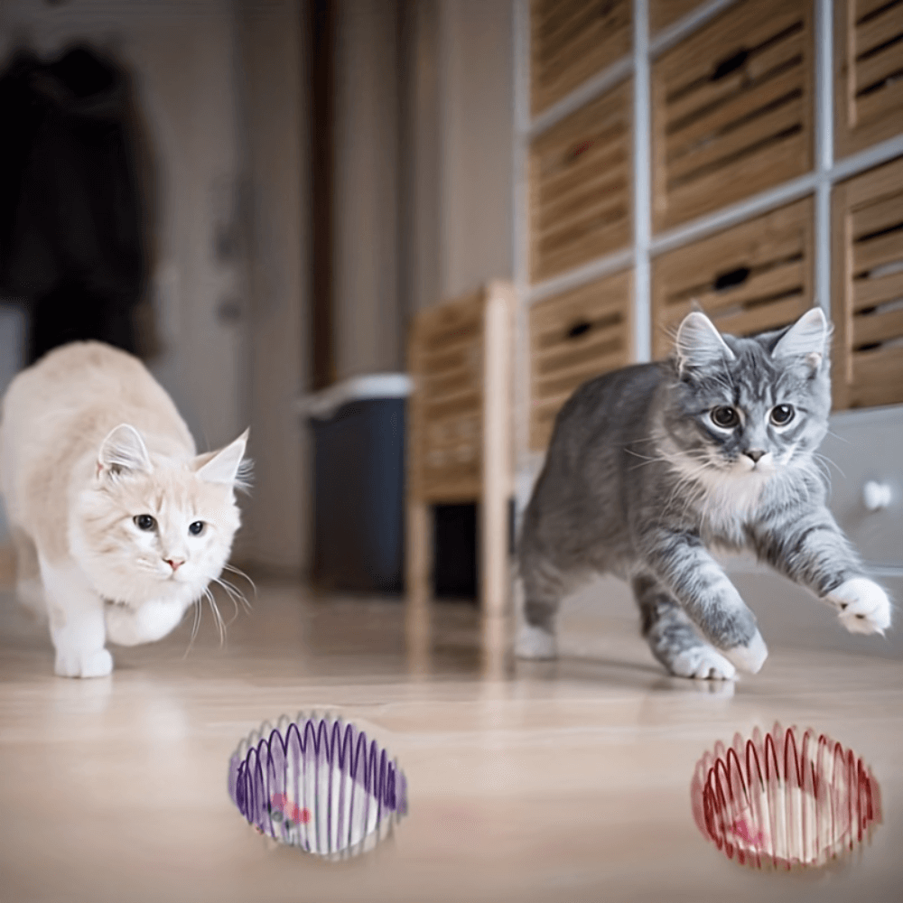 Interactive Cat Spring Toy Set