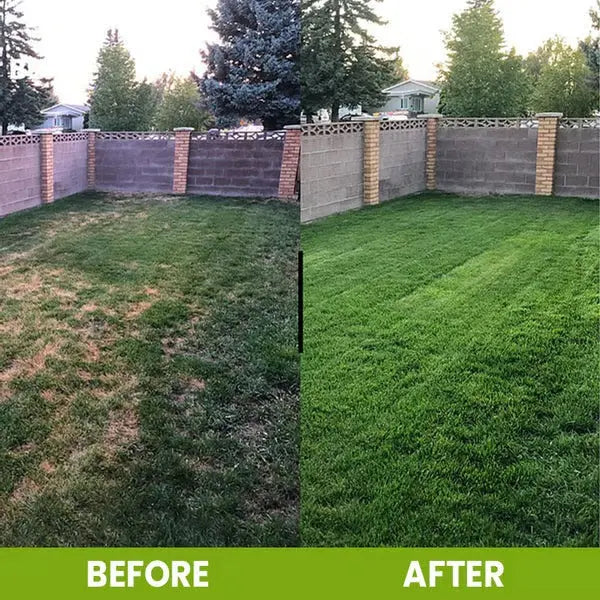 BowLift | 60 g Soil Activator with Minerals for Healthy Plants