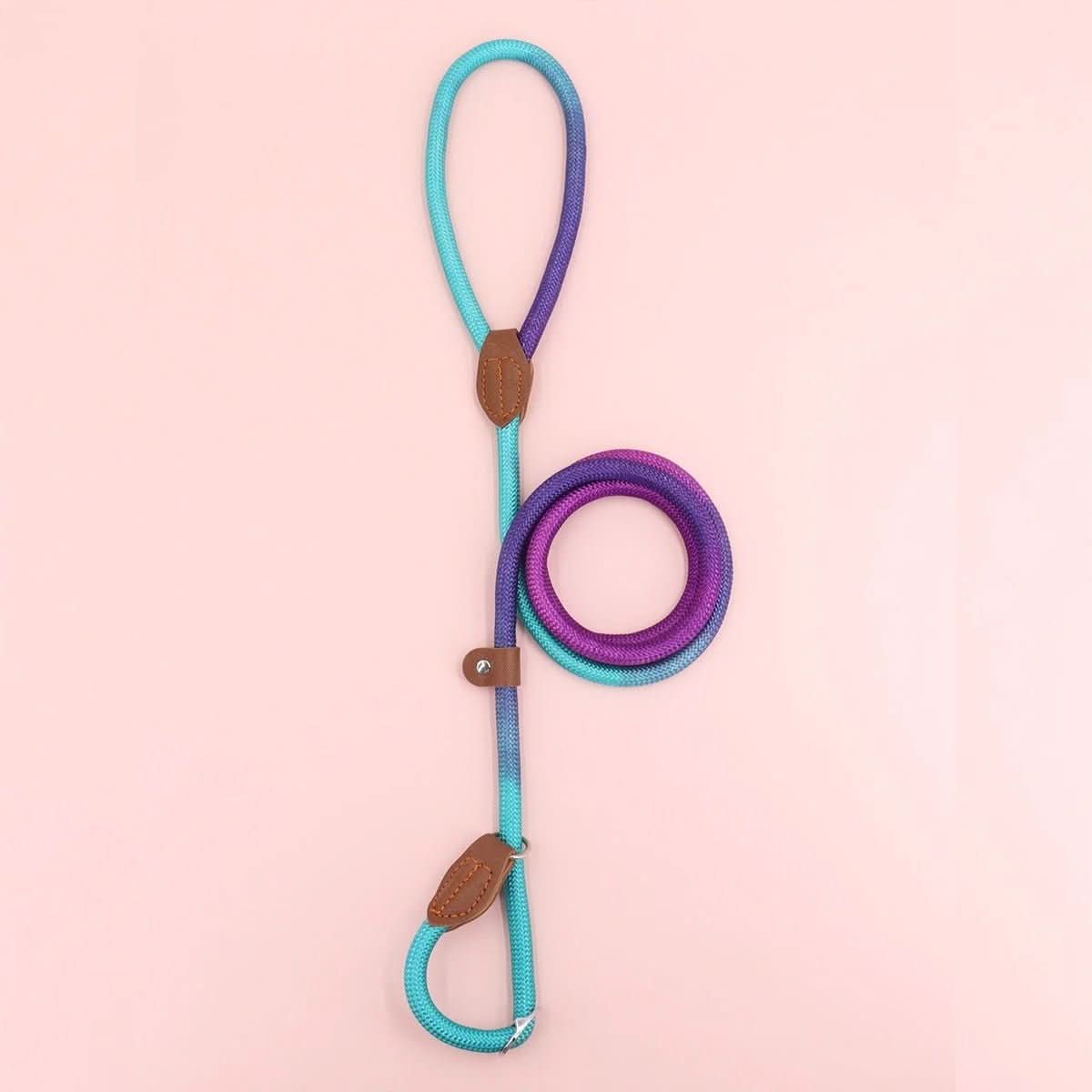 BowLift | CLÉMENTINE LEASH – Colored dog leash for stylish walks with comfort