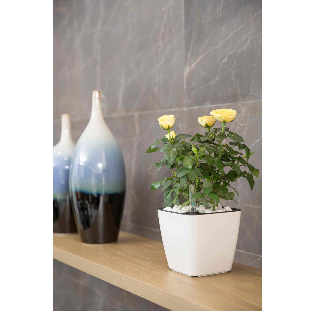 BowLift | Flower pot with irrigation system – Self-watering plant pot for indoor and outdoor use