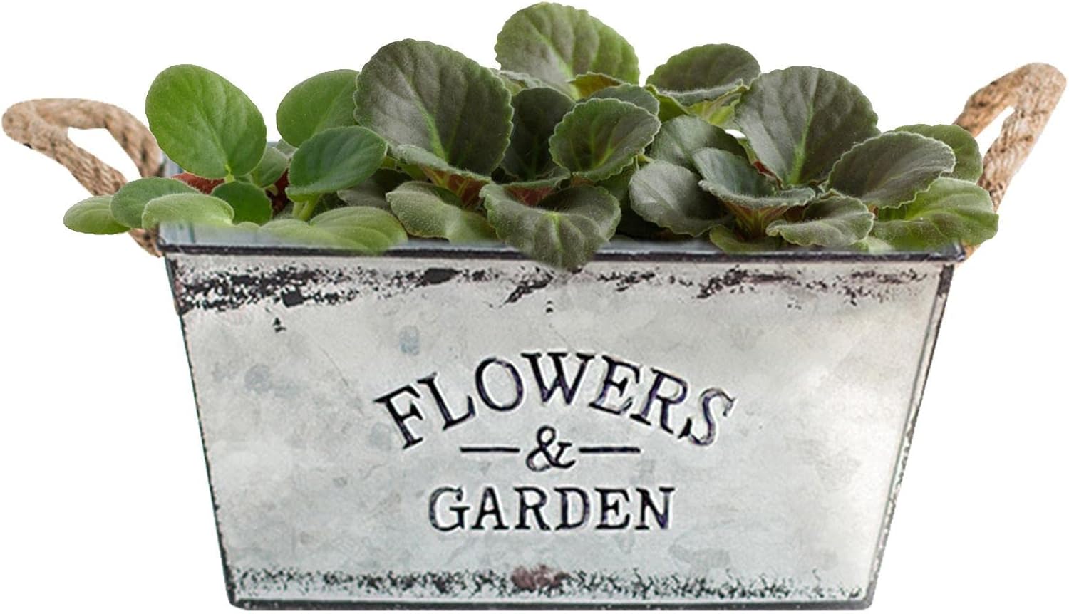 BowLift | Decorative flower and garden container made of metal with hemp rope handles