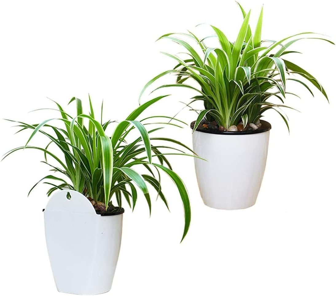 BowLift | Self-watering hanging plant pot – Modern flower pot for wall mounting